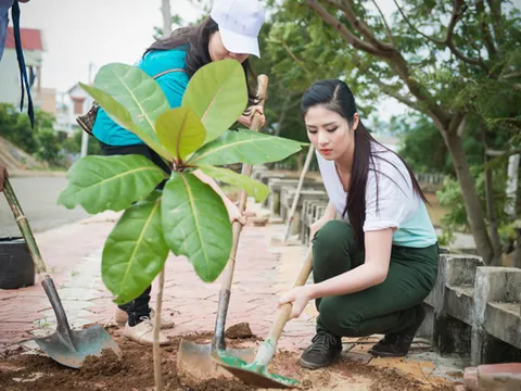 Đề xuất Ngày cây xanh Việt Nam