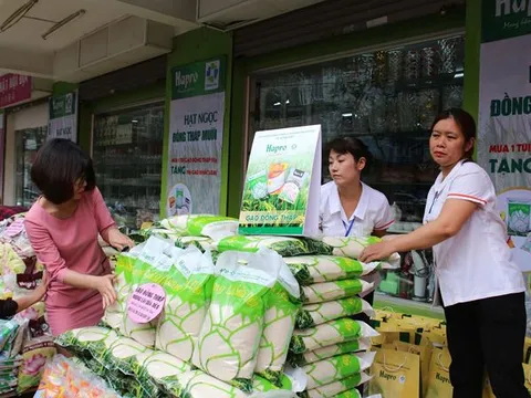 Hapro giới thiệu gạo Đồng Tháp tới người tiêu dùng Thủ đô