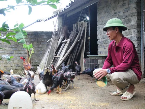 Hành trình làm lại cuộc đời của người đàn ông mang án tử