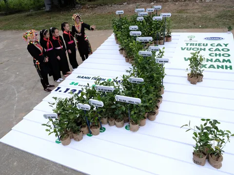 Hành trình triệu cây vươn cao cho Việt Nam xanh của Vinamilk đã cán đích với 1.121.000 cây được trồng