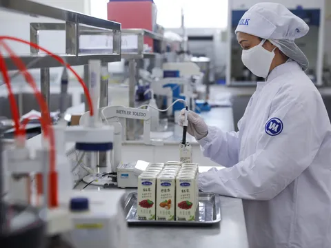 Tin vui về lô sữa xuất khẩu đầu năm từ Vinamilk