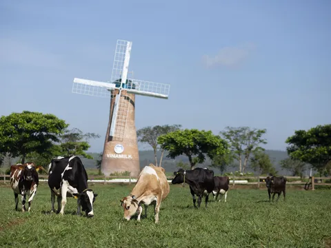 Vinamilk tiếp tục là thương hiệu được chọn mua nhiều nhất ở cả thành thị và nông thôn