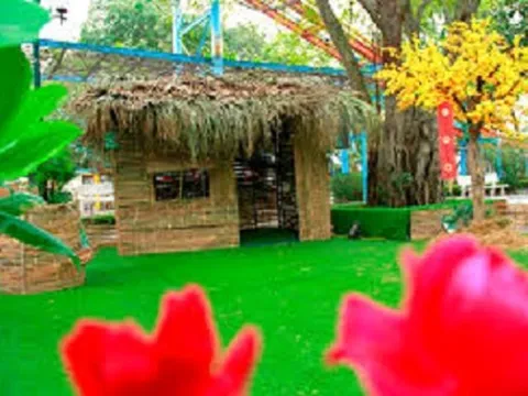 Chào Xuân Kỷ Hợi 2019 – Hương sắc bốn mùa