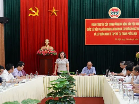 Hà Nội có 3 xã về đích nông thôn mới nâng cao