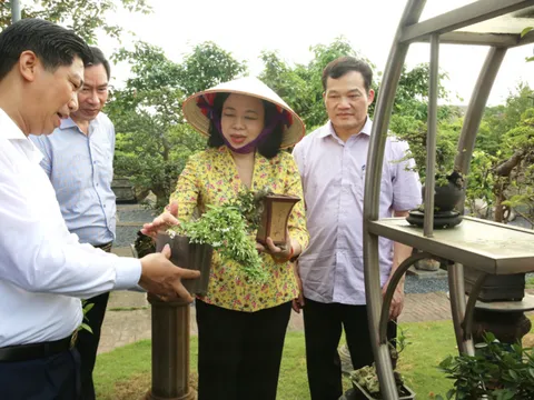 Xã Hồng Vân thực hiện hiệu quả nhiều nhiệm vụ, giải pháp phát triển kinh tế - xã hội