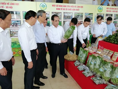 Tuyên Quang đẩy mạnh xây dựng nông thôn mới