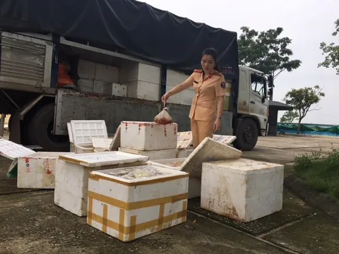 Bắt giữ ô tô tải vận chuyển 250 kg thịt gà đang phân hủy