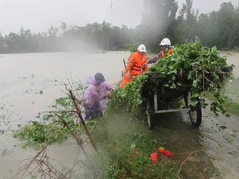 Gần 1,1 tỷ đồng cứu trợ các tỉnh bị ảnh hưởng bởi bão số 12