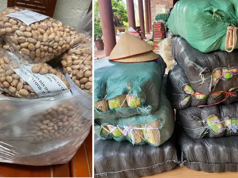 Thanh Hóa: Hơn 1.500 tấn hàng chuẩn bị lên tàu biển vào TP. HCM