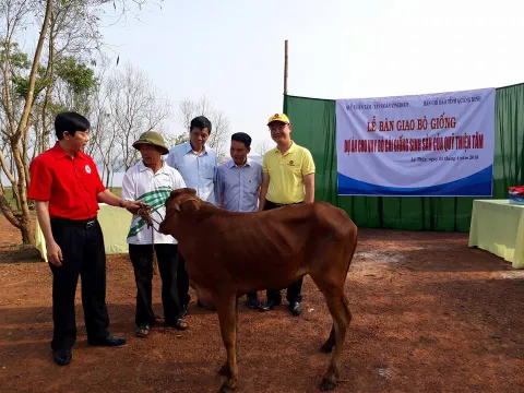 Bàn giao 200 bò cái giống sinh sản tại Quảng Bình