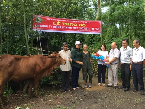 Bà Rịa-Vũng Tàu: Trao bò giống cho 5 hộ nghèo