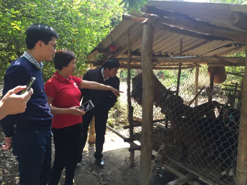 Sơn La: Hơn 49.000 người được hưởng lợi từ dự án của Hội Chữ thập đỏ