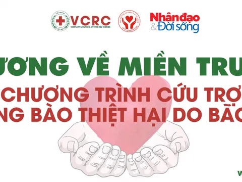 Thương về miền Trung