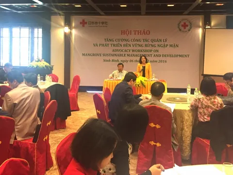 Dự án “Trồng rừng ngập mặn - Giảm thiểu rủi ro thảm họa”: Cần giao trách nhiệm quản lý và phát triển  bền vững “hậu dự án”