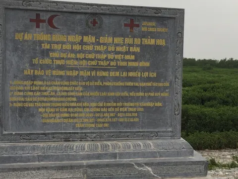 Hiệu quả từ những cánh rừng "5 nhất"