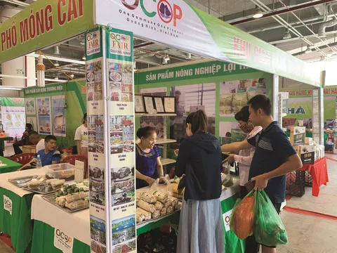 Quảng Ninh đầu tư 225 tỷ đồng cho khoa học kỹ thuật giúp đồng bào dân tộc thiểu số, miền núi