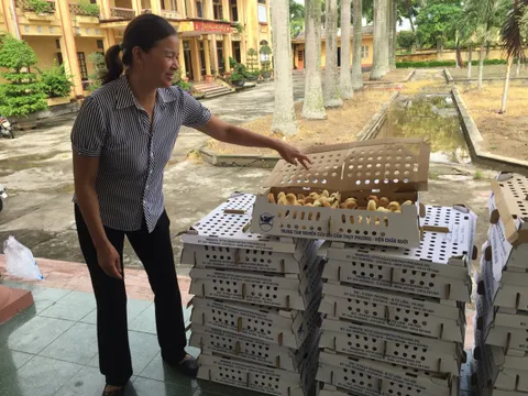 Bàn giao gà giống cho các hộ có hoàn cảnh khó khăn