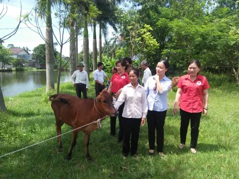 Khánh thành nhà Chữ thập đỏ và tặng bò cho hộ nghèo