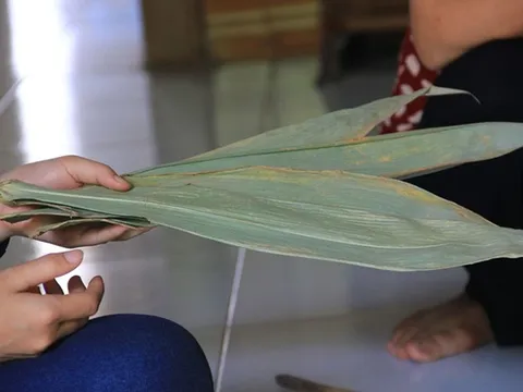 Kiếm tiền tỷ ở Việt Nam nhờ những ý tưởng "không giống ai"
