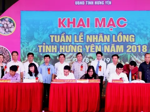 Khai mạc Tuần lễ Nhãn lồng Hưng Yên tại Hà Nội