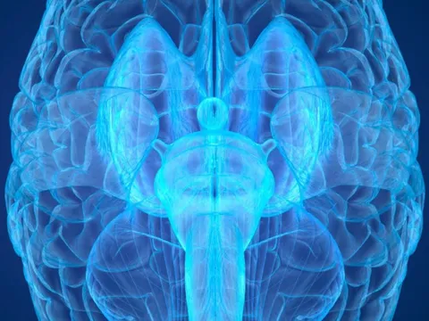 Trung Quốc tìm kiếm linh hồn với máy quét não mạnh nhất thế giới