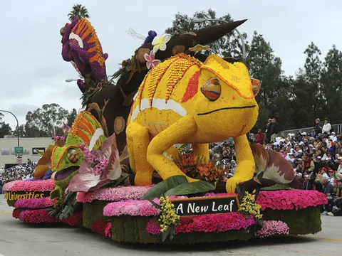 Lôi cuốn sắc màu hội hoa!