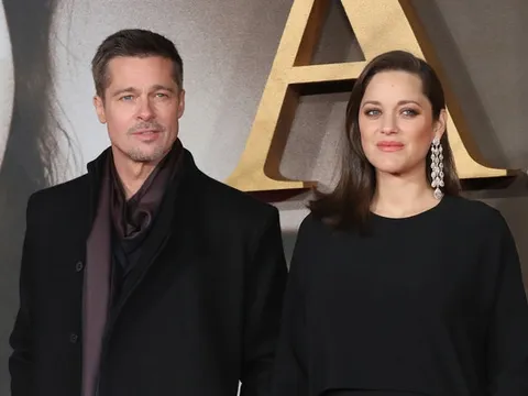 Bầu bí, "người tình tin đồn" của Brad Pitt vẫn làm việc chăm chỉ Chia sẻ