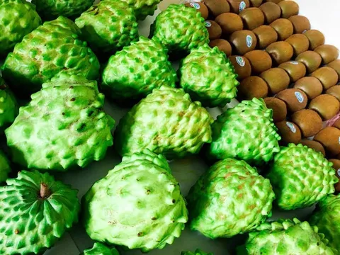 Mãng cầu Đài Loan hạ nhiệt còn 350.000 đồng/kg, hàng vừa về đã hết