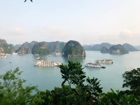 Đình chỉ cơ sở kinh doanh dịch vụ du lịch nếu chặt chém du khách