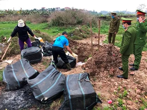 Thu giữ hơn 1 tấn nầm lợn hôi thối đang trên đường đi tiêu thụ