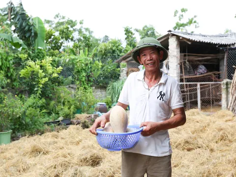 Thoát khỏi bệnh khớp nhờ xem tivi