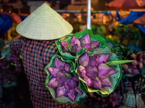 Ngập tràn sắc sen tại chợ hoa Quảng Bá