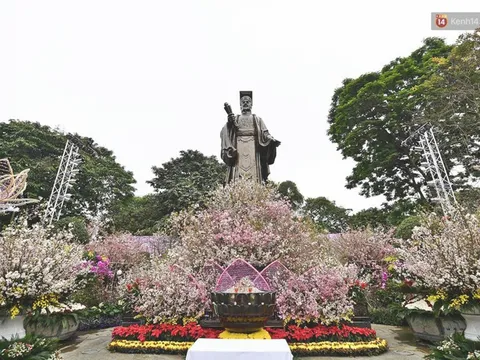 Háo hức chờ đón Lễ hội hoa Anh đào trên phố đi bộ Hồ Gươm