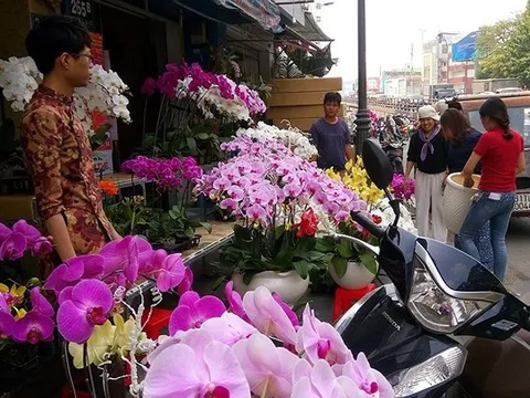 Người Việt chi 18 triệu USD mua hoa ngoại ngắm Tết