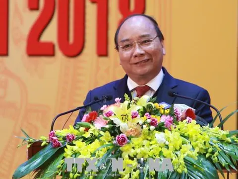 Phân công đầu mối, báo cáo tình hình phát triển doanh nghiệp