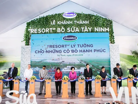 “Resort” bò sữa Vinamilk Tây Ninh: Ngôi nhà lý tưởng của những 'cô bò' hạnh phúc