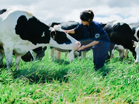 Vinamilk có hệ thống trang trại đạt chuẩn Global Gap lớn nhất Châu Á