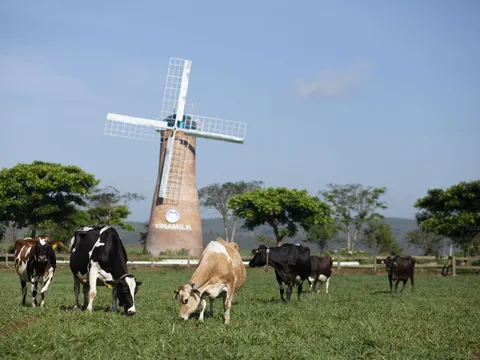 Không ngừng đổi mới để đáp ứng nhu cầu của người tiêu dùng