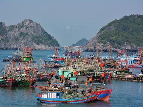 Hải Phòng: Toàn bộ 426 tàu cá được hỗ trợ lắp đặt thiết bị giám sát hành trình