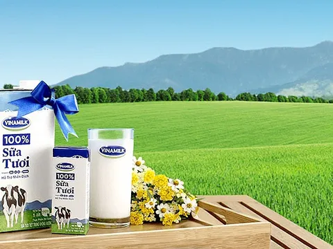 Vinamilk tăng hơn 30,5% lợi nhuận sau thuế trong quý 4/2018