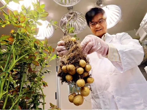 Nhật Bản cho phép lưu thông thực phẩm biến đổi gen tân tiến