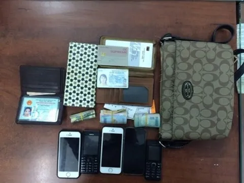 Nhóm móc túi trên đường hoa Nguyễn Huệ sa lưới