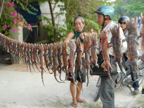 Những khu chợ kỳ dị, độc đáo chỉ có ở Việt Nam