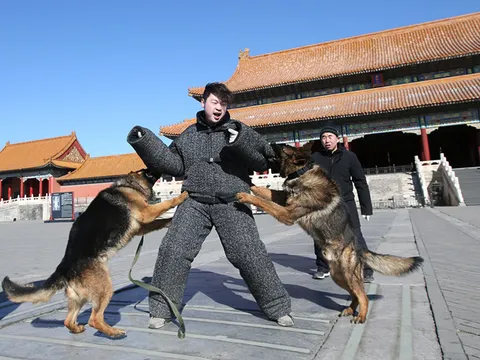 Những "ngự lâm quân" thời hiện đại tại Tử Cấm thành