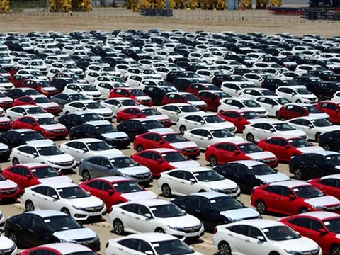 Ô tô Thái "độc chiếm" thị trường xe nhập Việt Nam, xe Indonesia mất hút