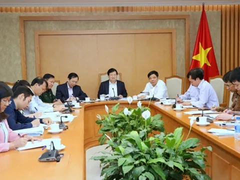 Phó Thủ tướng họp khẩn tháo gỡ khó khăn cho chăn nuôi lợn