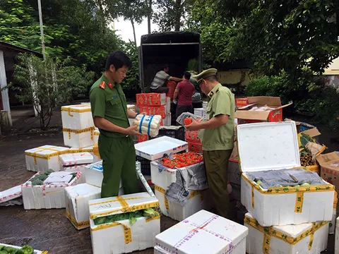 Tiêu hủy 2.408kg rau, củ quả nhập lậu Trung Quốc