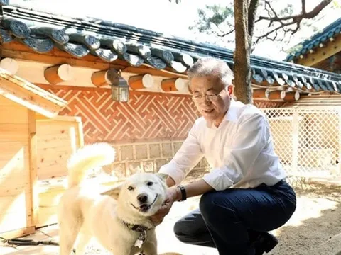 Quốc khuyển, áo lông quý và món quà hòa bình của Triều Tiên