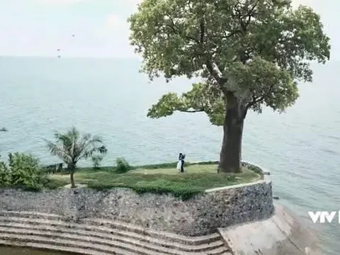 Quốc Trường nói gì về cảnh cầu hôn sến sẩm bên cây giả