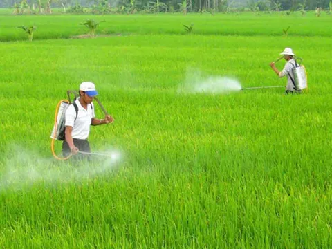 Bộ trưởng Nông nghiệp yêu cầu kiểm soát các loại thuốc bảo vệ thực vật